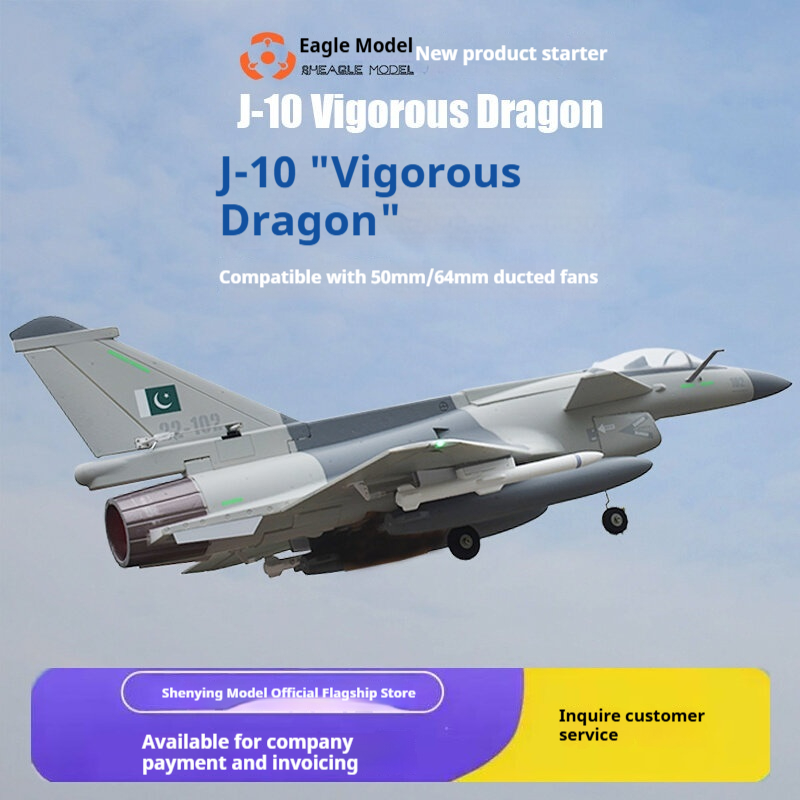 Model Kit Expert - Aereo RC Rheagle Modello J-10 Vigorous